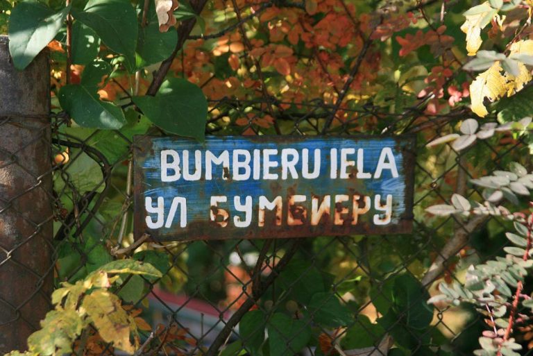 Bumbieru iela, Ikšķile 2008.gads