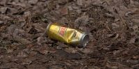 Pavasaris, Alus skārdene Zelta uz lapām