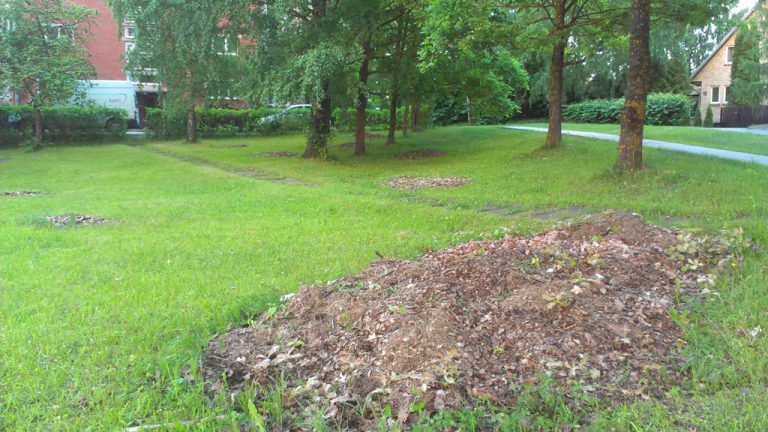Pagājušā gada lapu kaudzes Melioratoru ielā