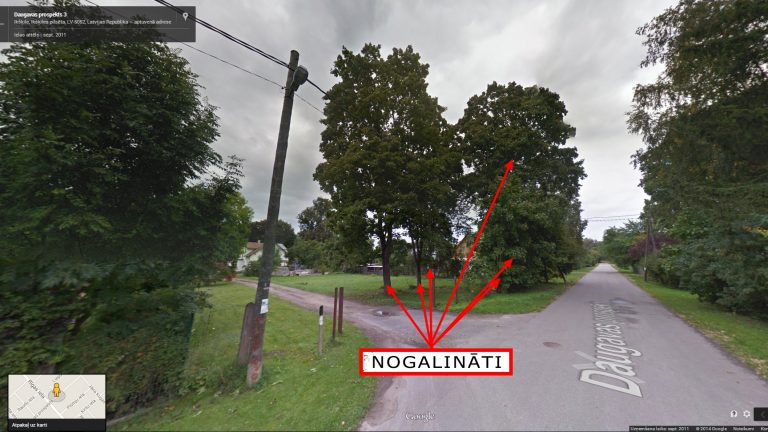 Daugavas prospekts, Ikšķile. Koku stubros veikti slīpi urbumi, kuros ielietas nezināmas izcelsmes ķimikālijas. Foto: Google Maps