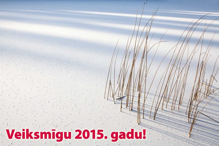 Laimīgu un veiksmīgu 2015.gadu!