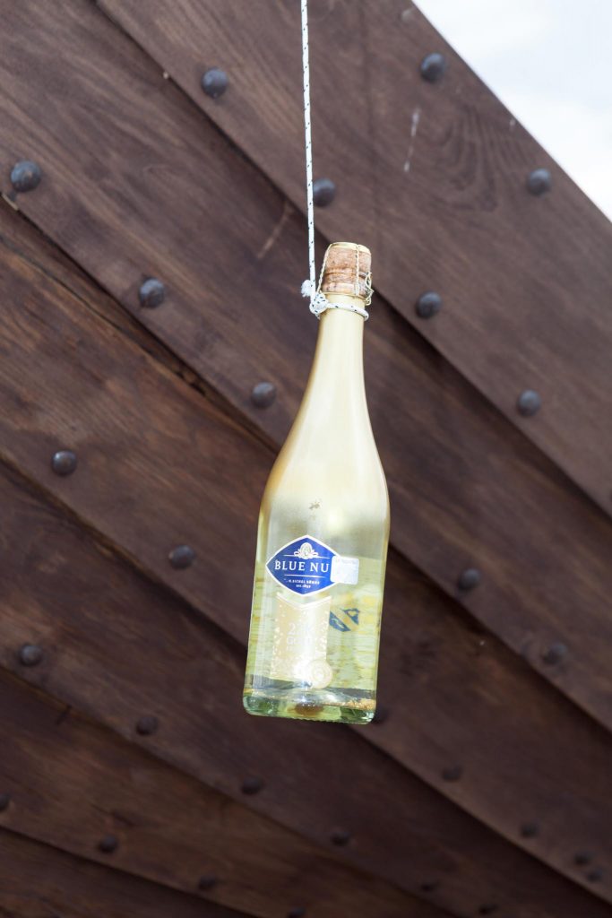 Uxkull ikskile nolaisana daugava 150620 MG 4670