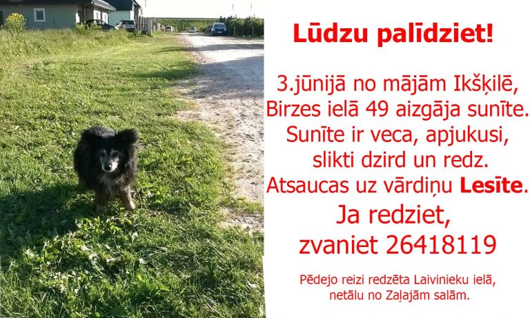 Palīdziet atrast Lesīti!
