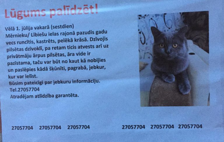Pazudis kaķis